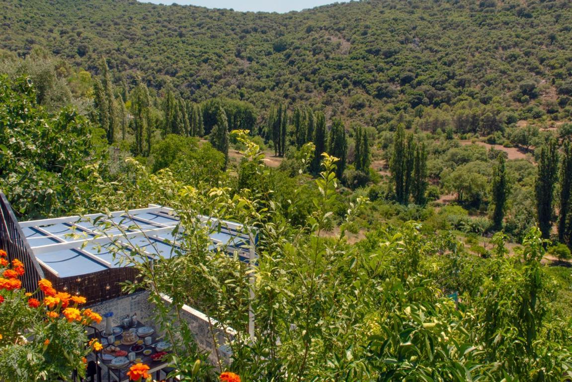 Stunning Home Benamahoma 4 Bed - Sierra Grazalema Εξωτερικό φωτογραφία